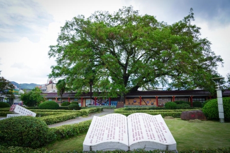 DSC02011